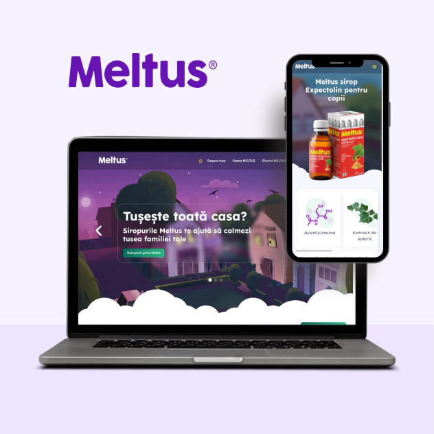 Meltus Project